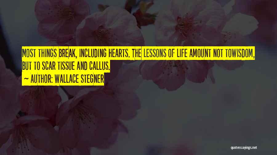 Scars And Life Quotes By Wallace Stegner