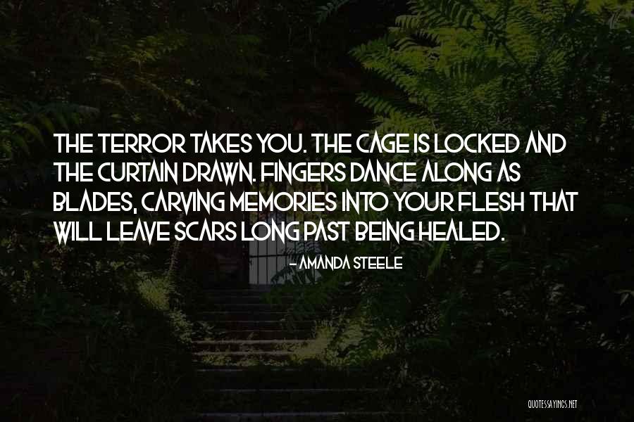 Scars And Memories Quotes By Amanda Steele Scars And Memories Quotes By Amanda Steele