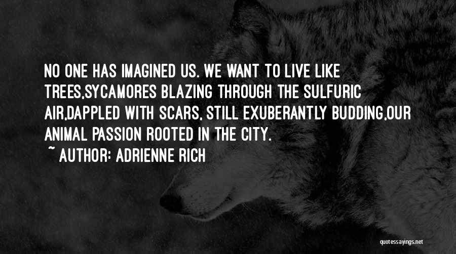 Scars Love Quotes By Adrienne Rich