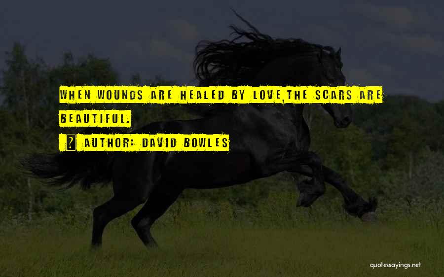 Scars Love Quotes By David Bowles