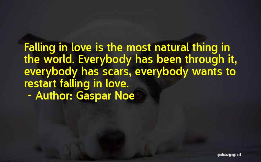 Scars Love Quotes By Gaspar Noe