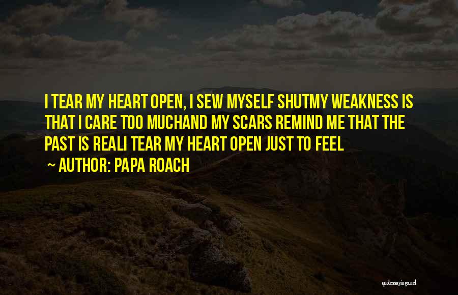 Scars Papa Roach Quotes By Papa Roach