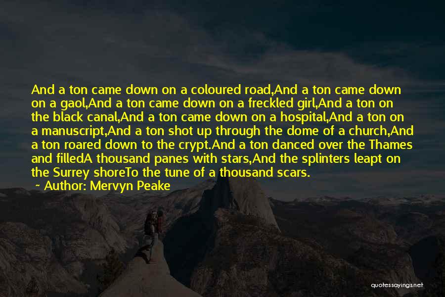 Scars Quotes By Mervyn Peake