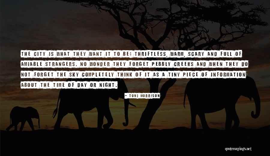 Scary Night Quotes By Toni Morrison Scary Night Quotes By Toni Morrison