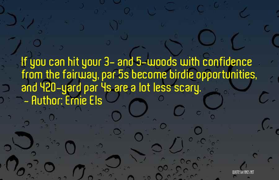 Scary Woods Quotes By Ernie Els