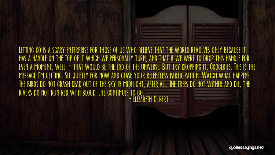 Scary World Quotes By Elizabeth Gilbert