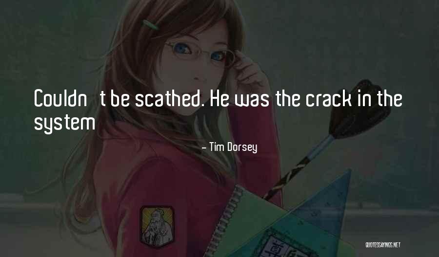 Scathed Quotes By Tim Dorsey Scathed Quotes By Tim Dorsey