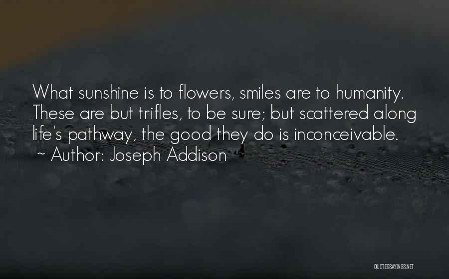 Scattered Life Quotes By Joseph Addison