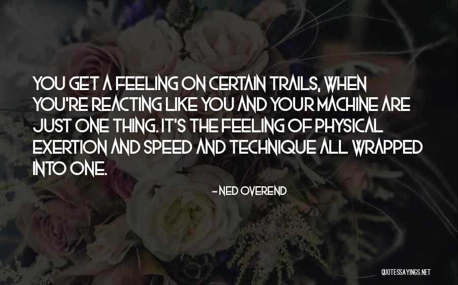 Scemo In English Quotes By Ned Overend Scemo In English Quotes By Ned Overend