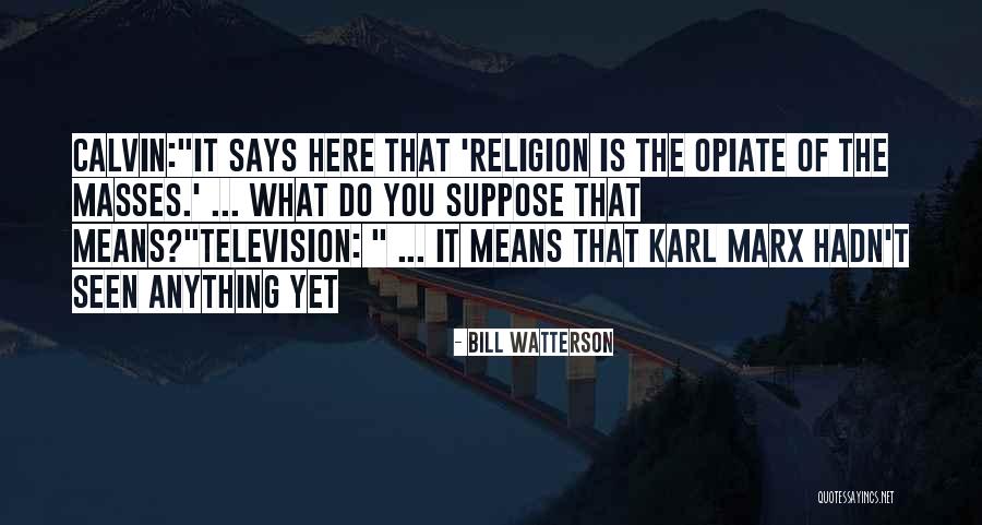 Scemo Quotes By Bill Watterson Scemo Quotes By Bill Watterson