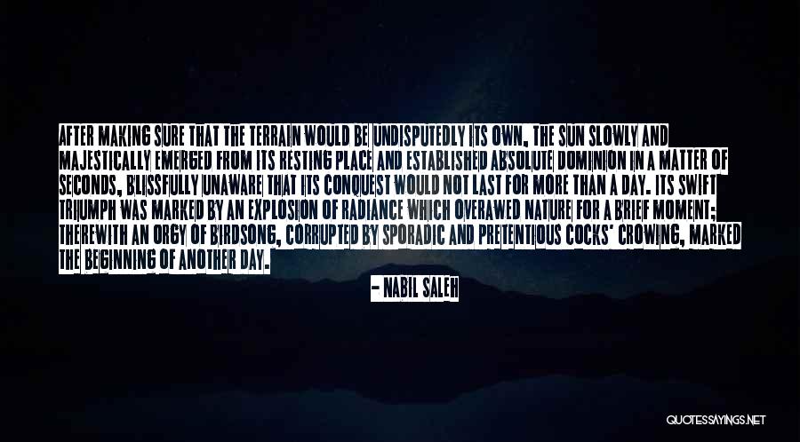 Scenariste Quotes By Nabil Saleh Scenariste Quotes By Nabil Saleh
