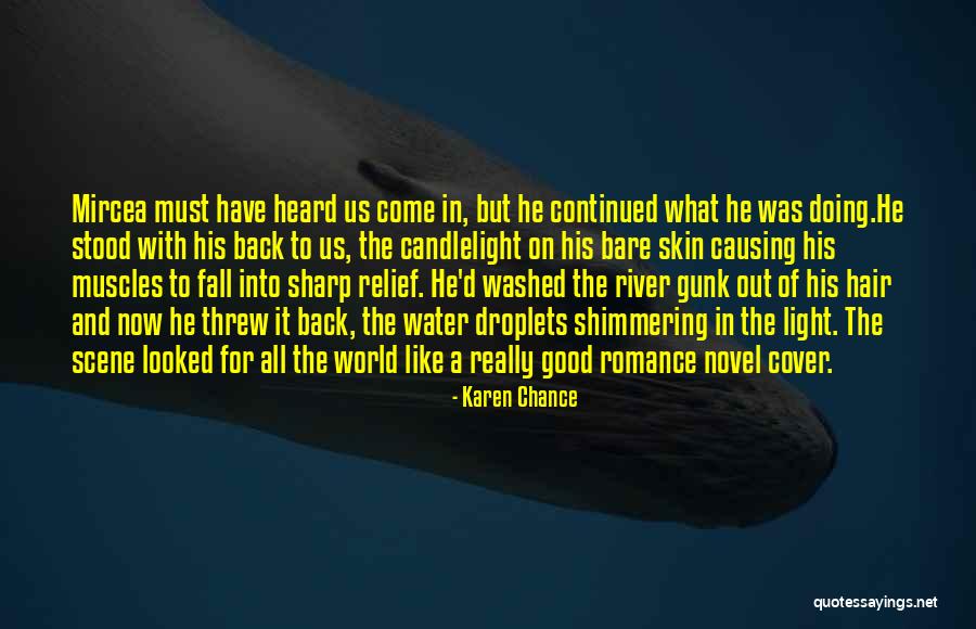 Scene And Heard Quotes By Karen Chance Scene And Heard Quotes By Karen Chance