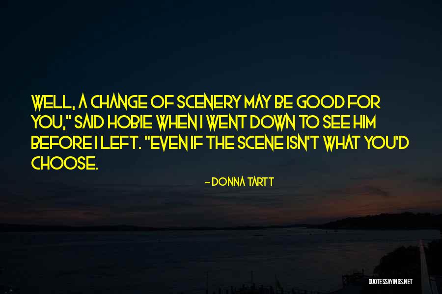 Scene And Scenery Quotes By Donna Tartt Scene And Scenery Quotes By Donna Tartt