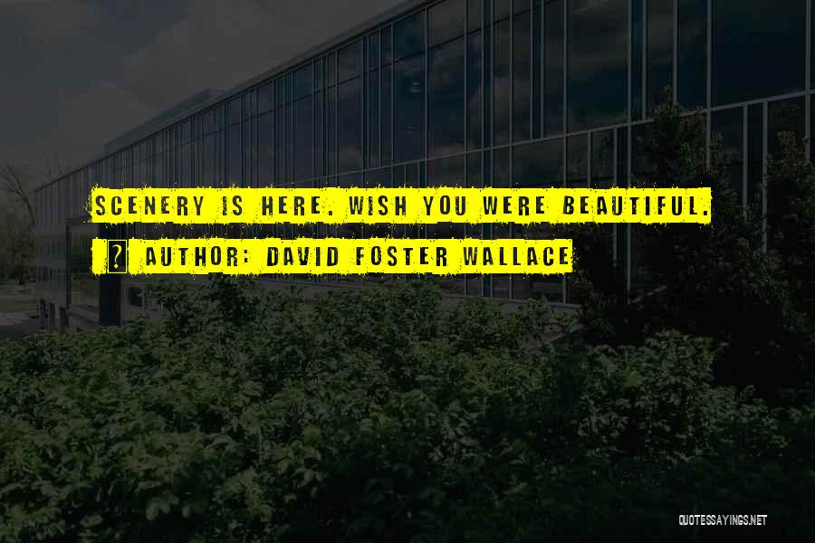 Scenery Quotes By David Foster Wallace