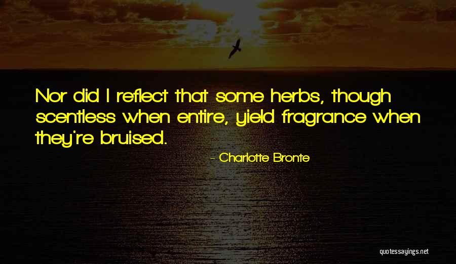 Scentless Quotes By Charlotte Bronte Scentless Quotes By Charlotte Bronte