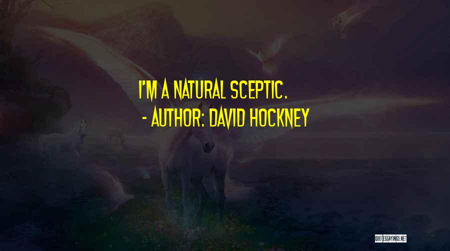 Sceptic Quotes By David Hockney