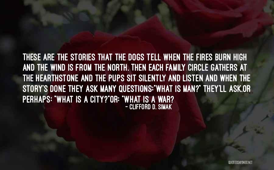 Schaake Hampton Quotes By Clifford D. Simak Schaake Hampton Quotes By Clifford D. Simak