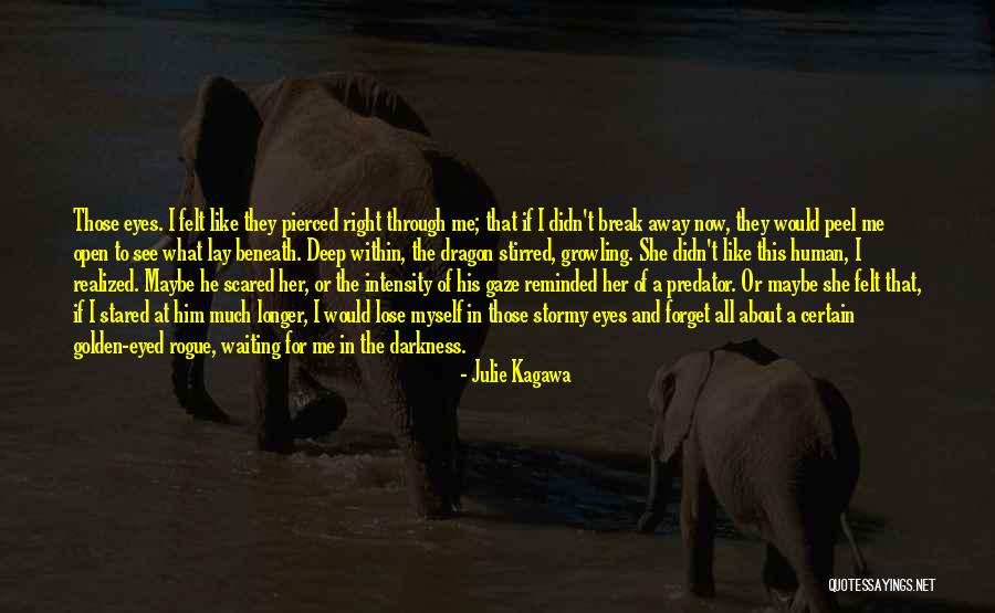 Schabi Quotes By Julie Kagawa Schabi Quotes By Julie Kagawa