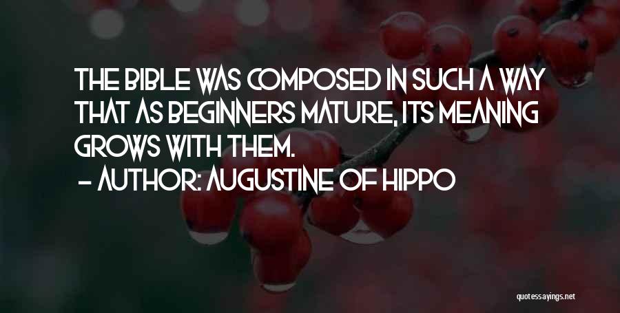 Schack Institute Quotes By Augustine Of Hippo
