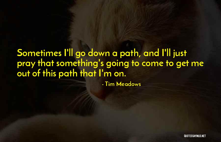 Schaerbeek Quotes By Tim Meadows Schaerbeek Quotes By Tim Meadows