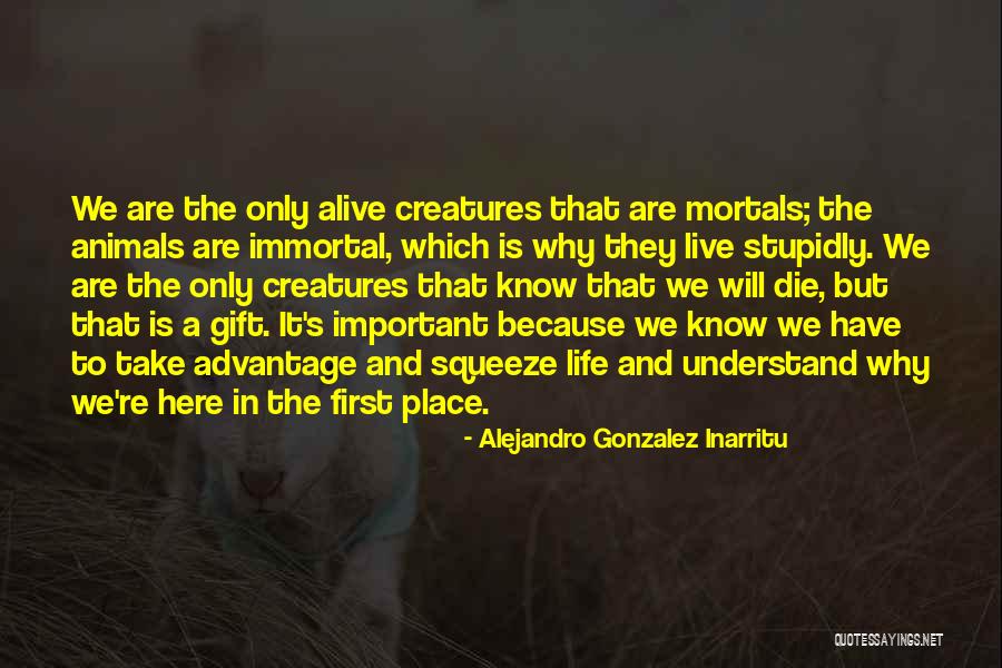 Schaffner Emc Quotes By Alejandro Gonzalez Inarritu Schaffner Emc Quotes By Alejandro Gonzalez Inarritu
