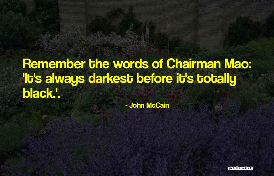 Schaffner Tires Quotes By John McCain Schaffner Tires Quotes By John McCain