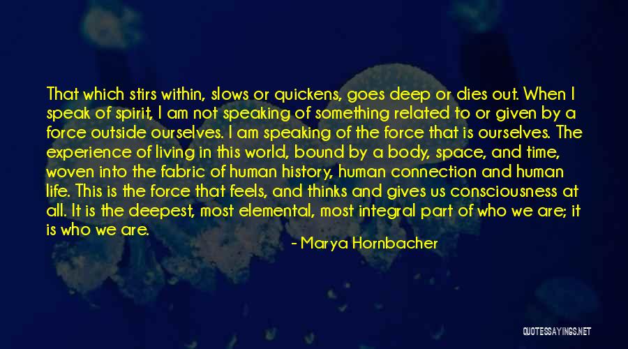 Schalchi Quotes By Marya Hornbacher Schalchi Quotes By Marya Hornbacher