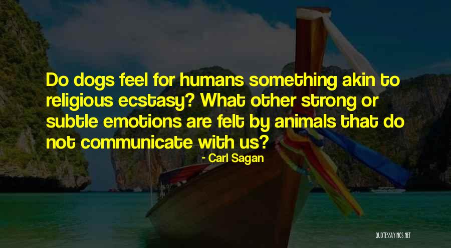 Schallamach Quotes By Carl Sagan Schallamach Quotes By Carl Sagan