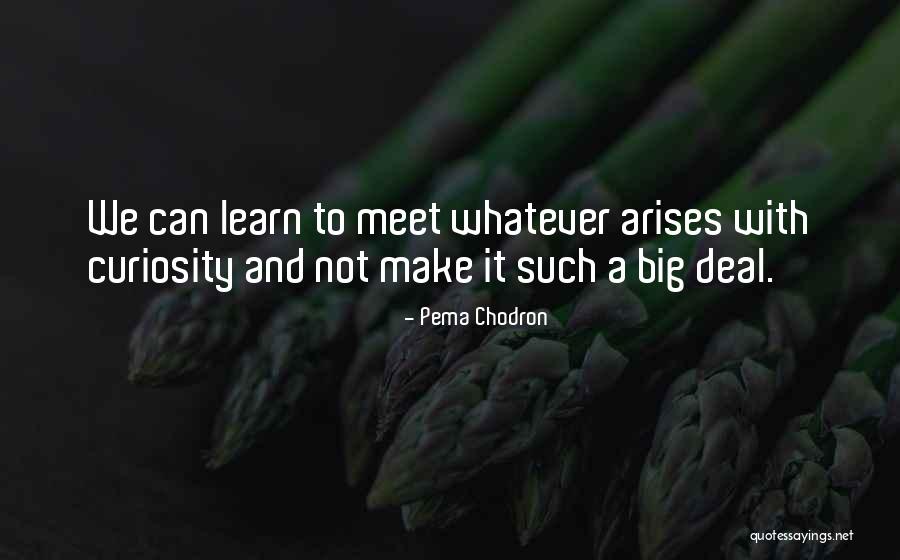 Schalles Wrestling Quotes By Pema Chodron Schalles Wrestling Quotes By Pema Chodron