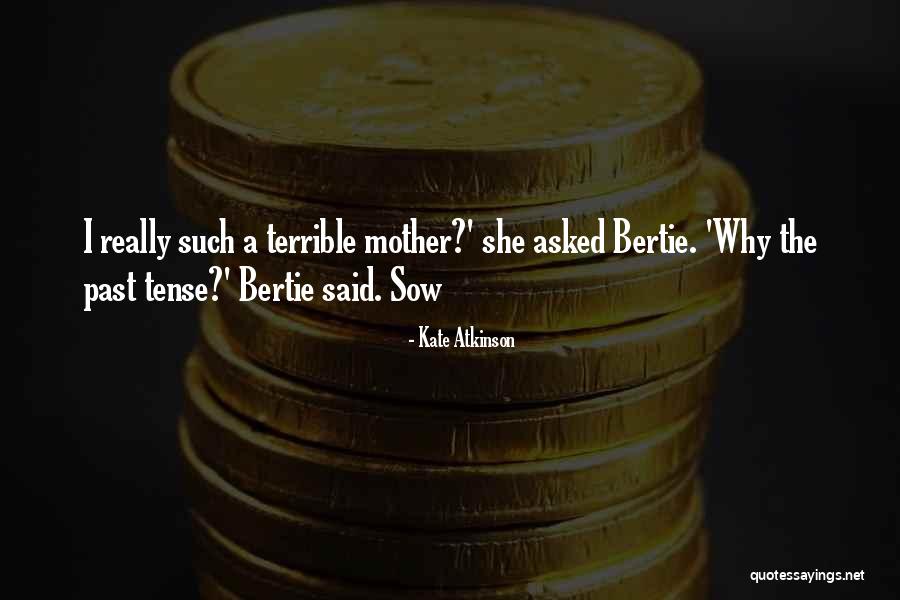 Schambach Organ Quotes By Kate Atkinson Schambach Organ Quotes By Kate Atkinson