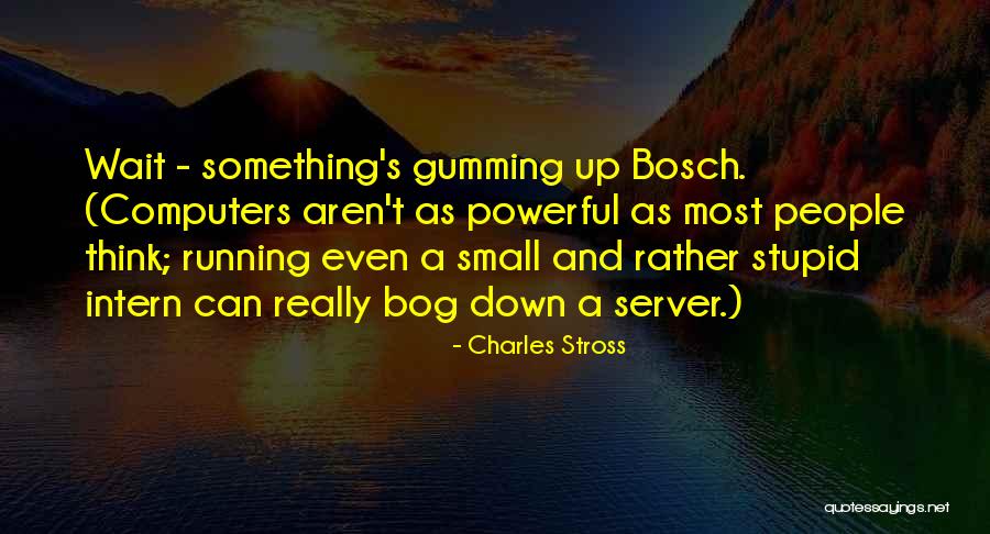 Schamberger Beer Quotes By Charles Stross Schamberger Beer Quotes By Charles Stross