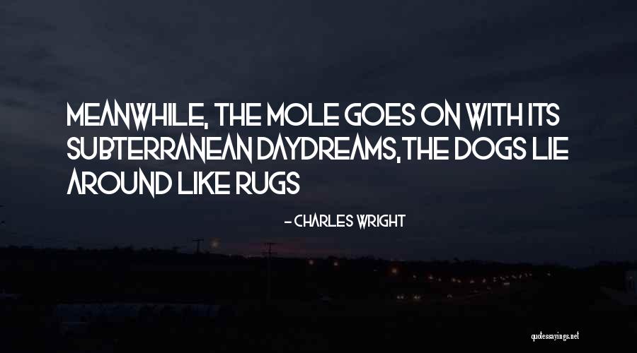 Schamel Brothers Quotes By Charles Wright Schamel Brothers Quotes By Charles Wright