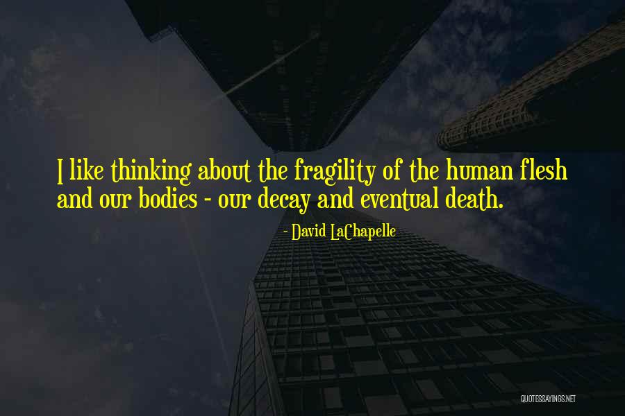 Schamel Family Quotes By David LaChapelle Schamel Family Quotes By David LaChapelle