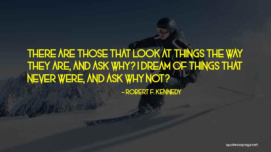 Schanback Lighting Quotes By Robert F. Kennedy