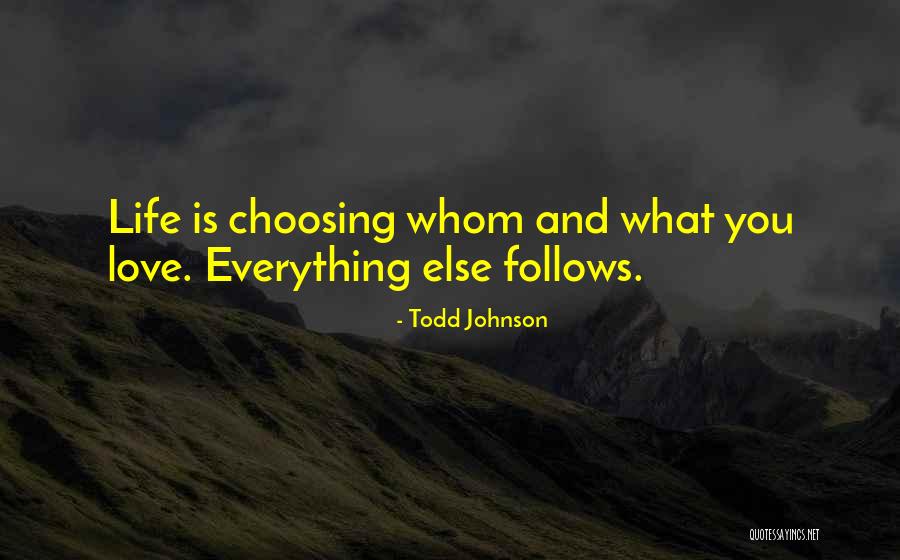 Schanz Pin Quotes By Todd Johnson Schanz Pin Quotes By Todd Johnson