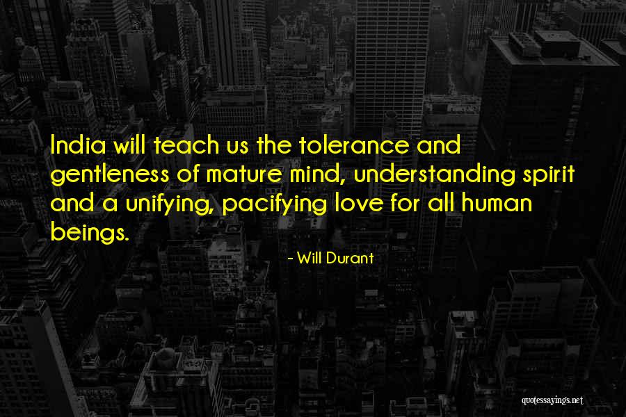 Schapiro Northwestern Quotes By Will Durant Schapiro Northwestern Quotes By Will Durant