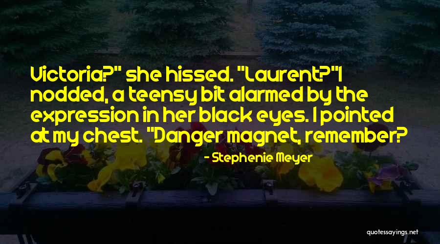 Schardo Tv Quotes By Stephenie Meyer Schardo Tv Quotes By Stephenie Meyer