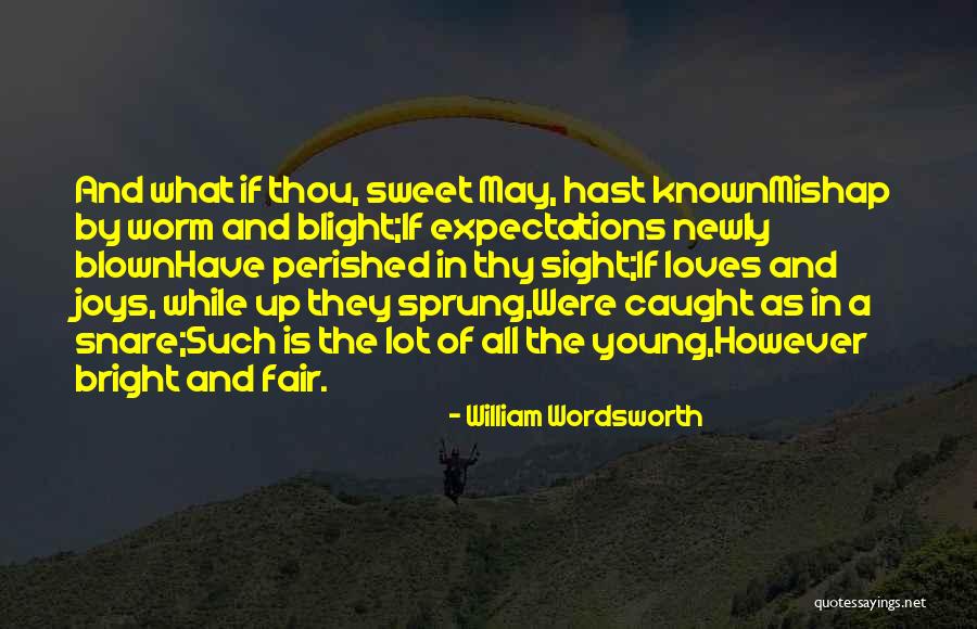 Scharniergewrichten Quotes By William Wordsworth Scharniergewrichten Quotes By William Wordsworth