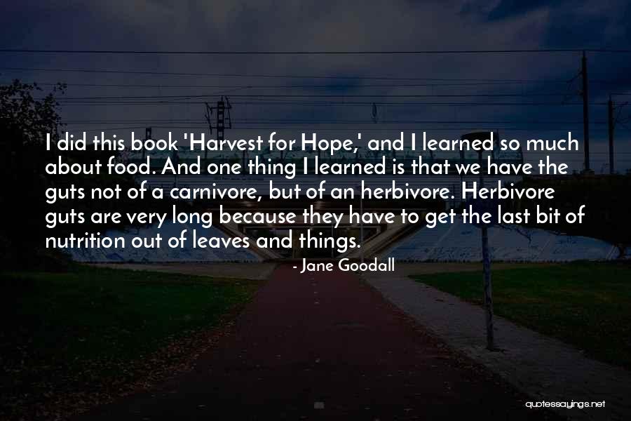 Scharpfamazon Quotes By Jane Goodall Scharpfamazon Quotes By Jane Goodall