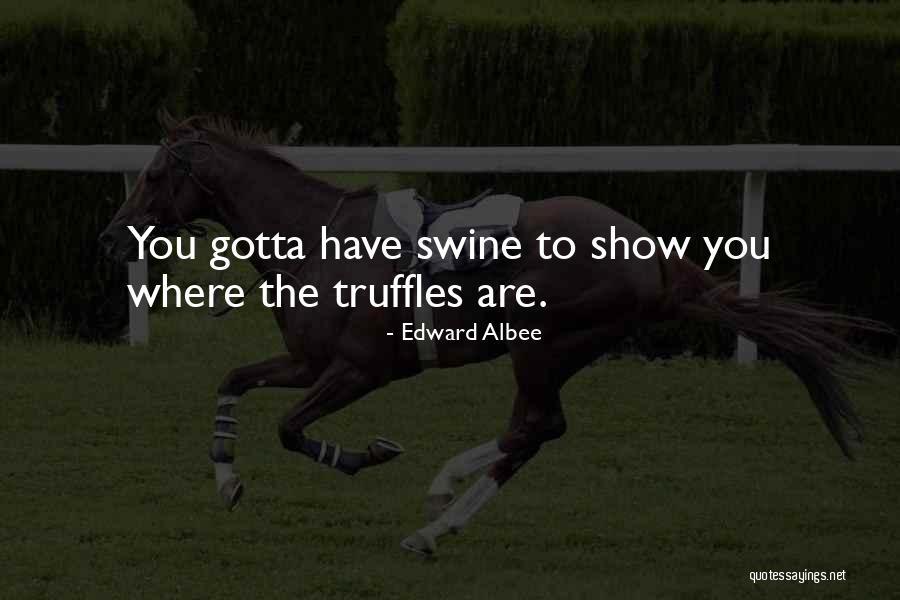 Schatzberg Horse Quotes By Edward Albee Schatzberg Horse Quotes By Edward Albee