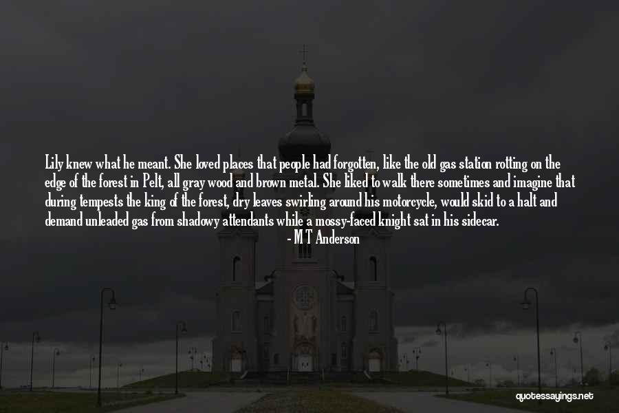 Schatzkammer Hofburg Quotes By M T Anderson Schatzkammer Hofburg Quotes By M T Anderson