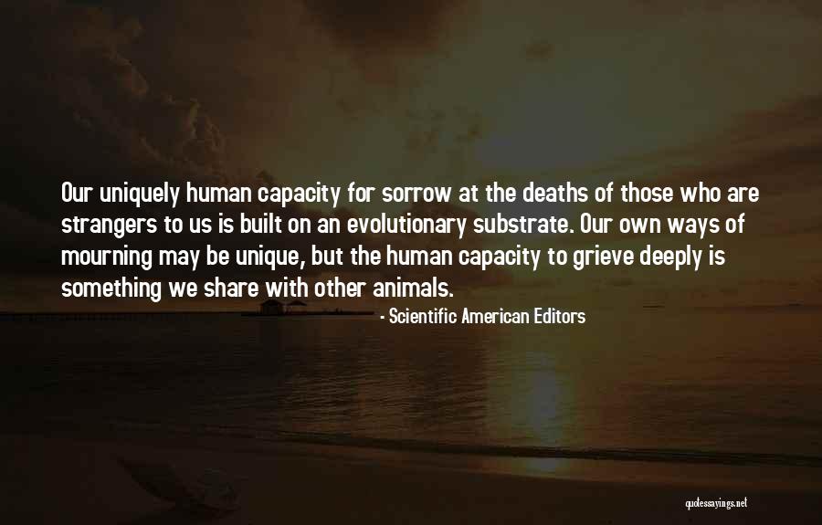 Schaubs Meat Quotes By Scientific American Editors Schaubs Meat Quotes By Scientific American Editors