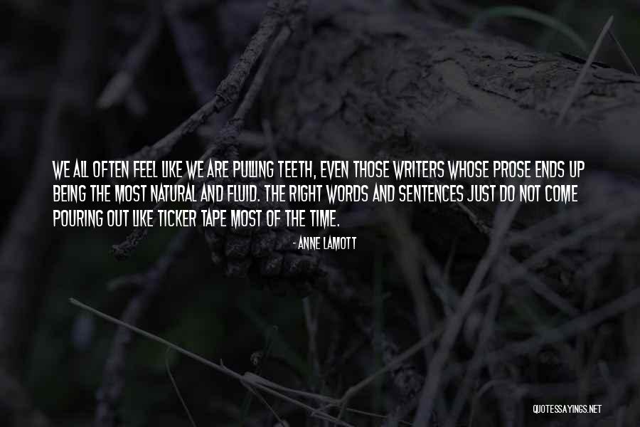 Schauerhamer Family Quotes By Anne Lamott Schauerhamer Family Quotes By Anne Lamott
