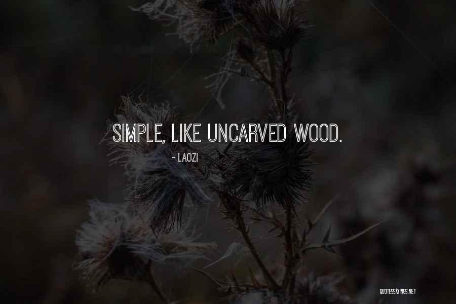 Schaums Quotes By Laozi Schaums Quotes By Laozi