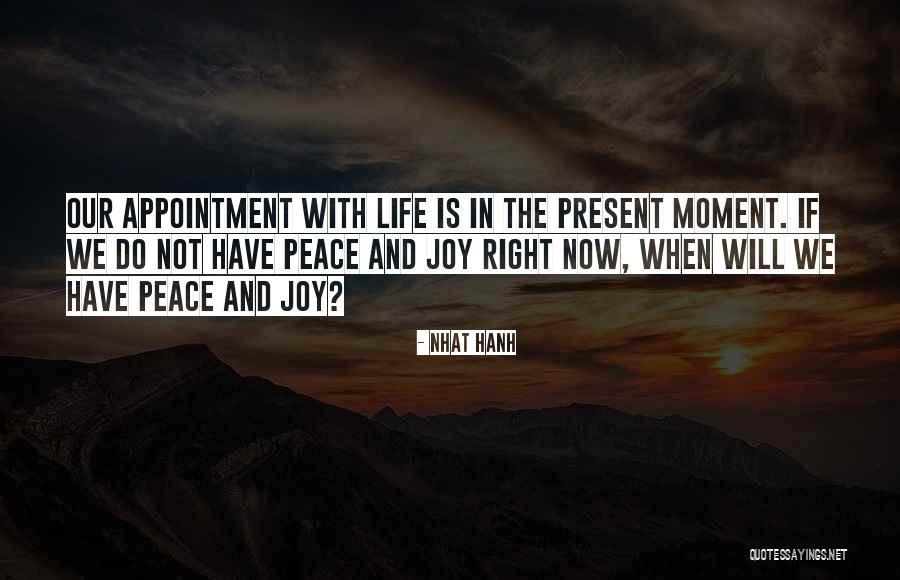 Schechtman Orthodontist Quotes By Nhat Hanh Schechtman Orthodontist Quotes By Nhat Hanh
