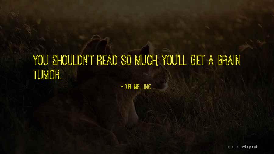 Scheck Hillel Quotes By O.R. Melling