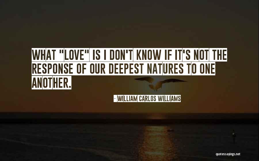 Scheels Eau Quotes By William Carlos Williams Scheels Eau Quotes By William Carlos Williams