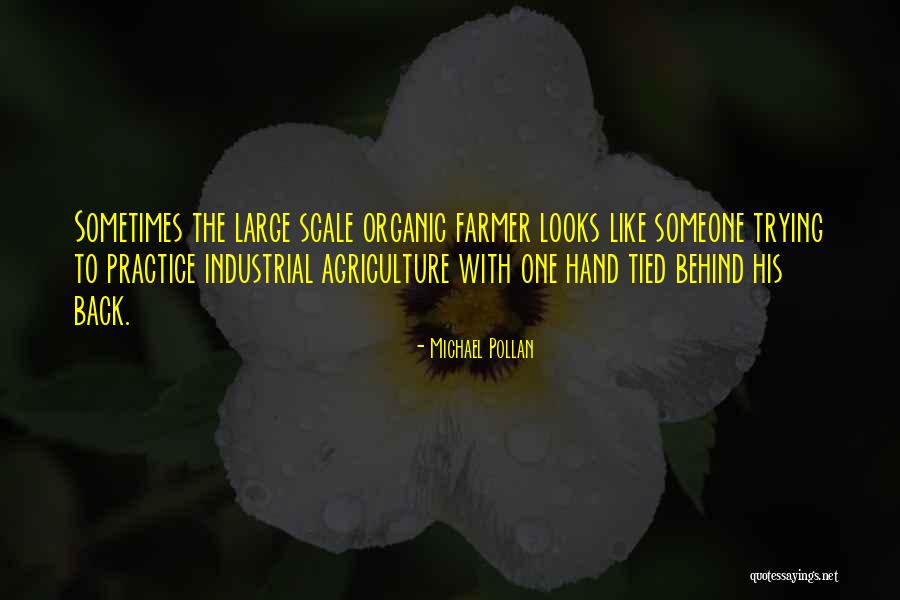 Scheidler Quotes By Michael Pollan Scheidler Quotes By Michael Pollan