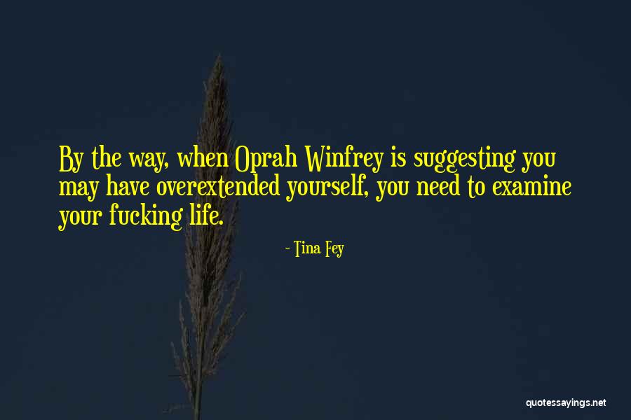 Schein Culture Quotes By Tina Fey Schein Culture Quotes By Tina Fey
