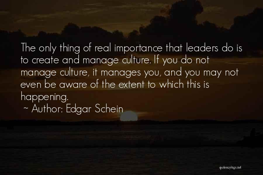 Schein Quotes By Edgar Schein